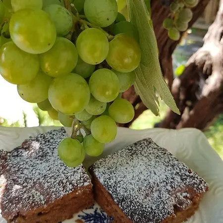 Hotel George Limenas (Thasos)