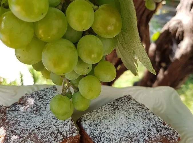 Hotel George Thásos